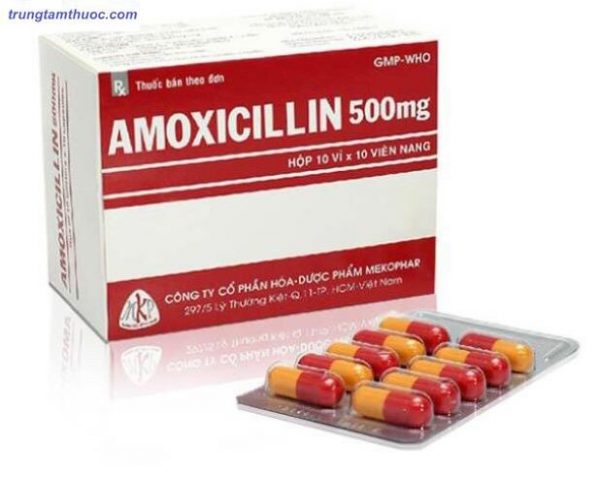 Amoxicillin 500mg hộp đỏ