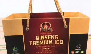 Ginseng Premium Ico giúp bổ não, mát gan, ăn ngon miệng